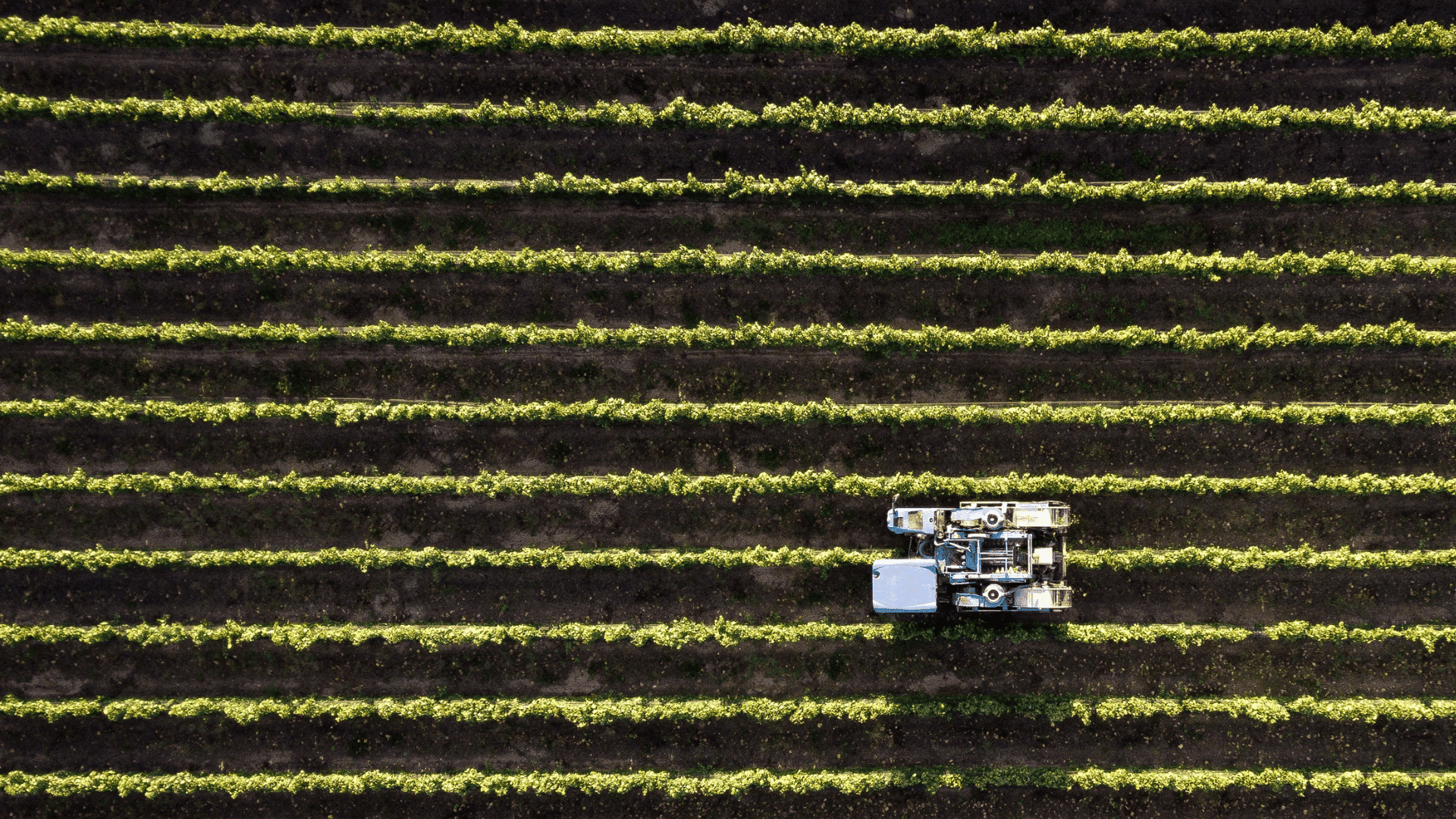 Agricultural landscape